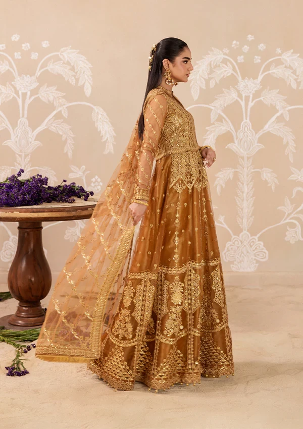 Aik Shaam - Look B2603
