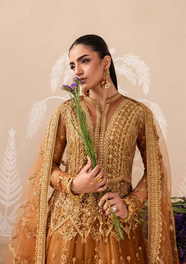 Aik Shaam - Look B2603