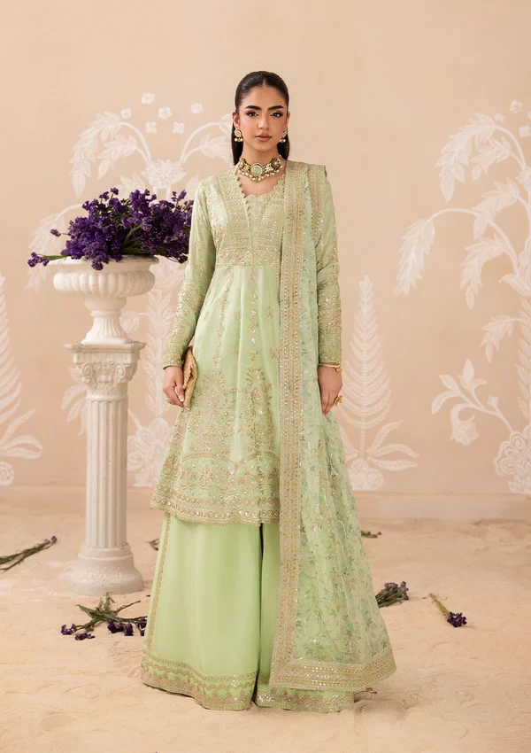 Aik Shaam - Look B2601