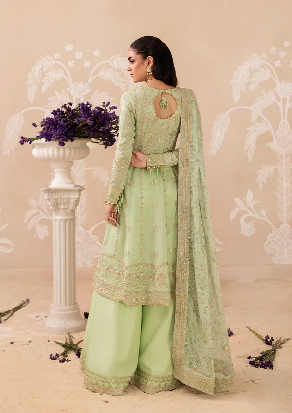 Aik Shaam - Look B2601
