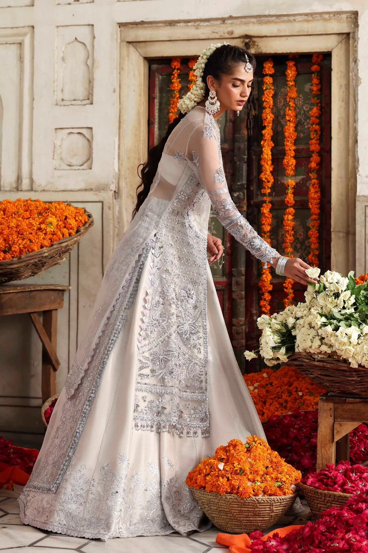 Safina - 1605
