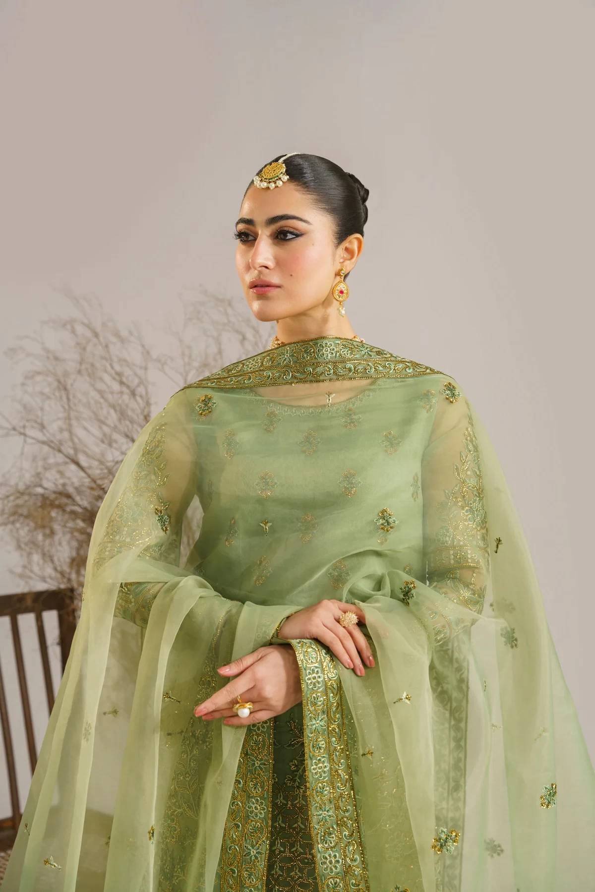 Fareena - 1523