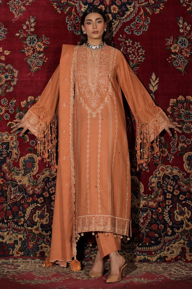 3 Piece Embroidered Kantha Stripe Suit - W-FB-WCH-26-487538