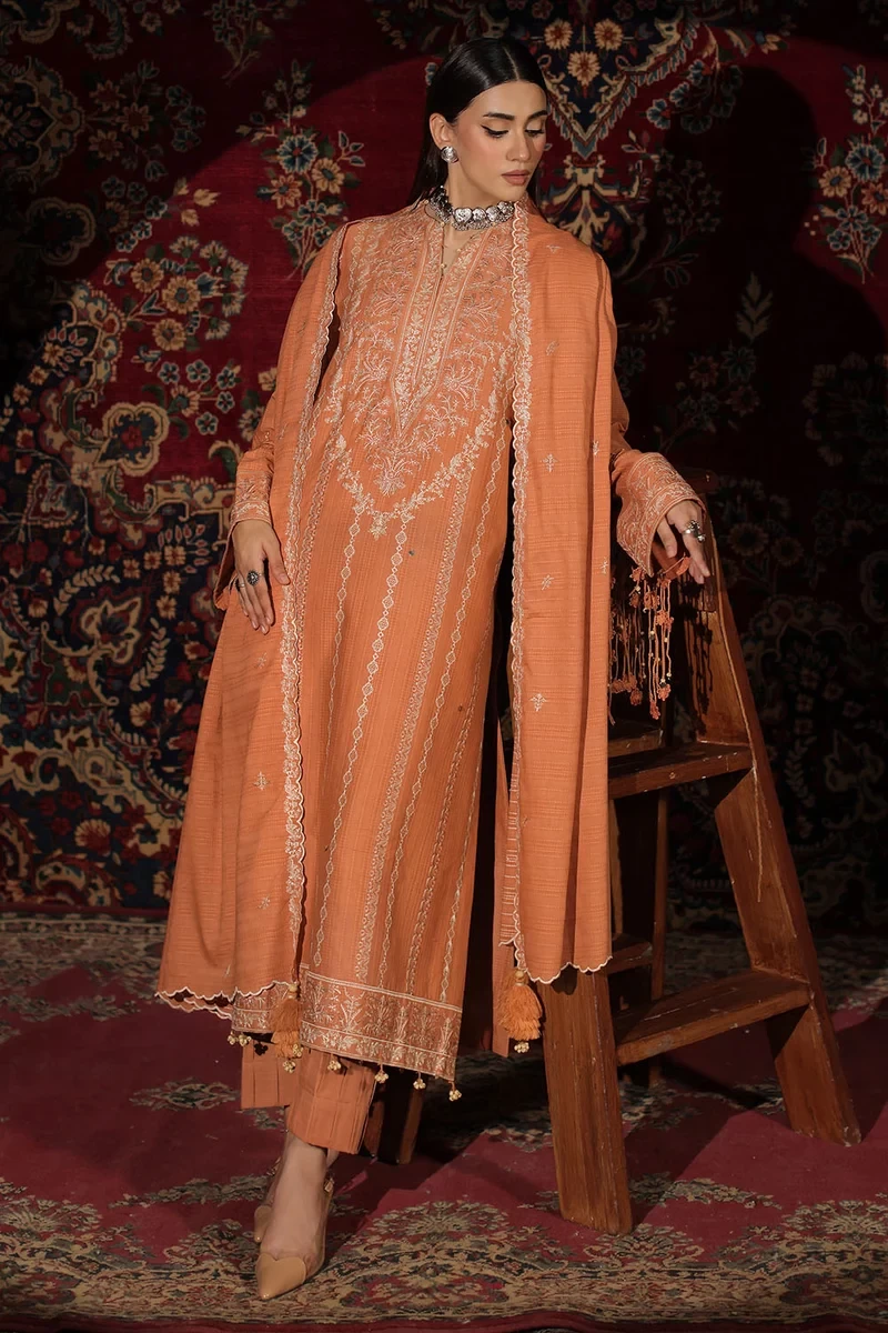 3 Piece Embroidered Kantha Stripe Suit - W-FB-WCH-26-487538